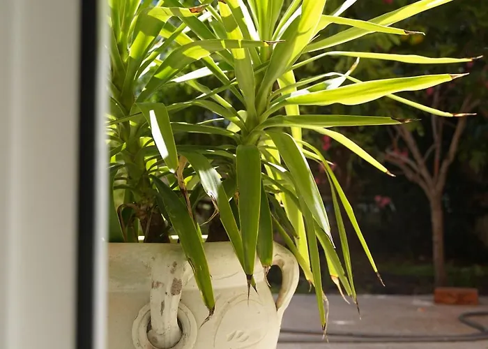 Gardar Μπολζάνο